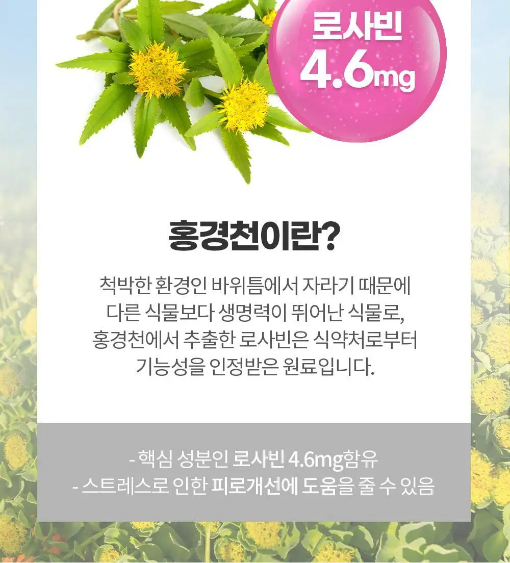 [체지방 감소] 그린몬스터 안티스트레스 다이어트 칼로버닝 28포 (2주분) 상세페이지 15